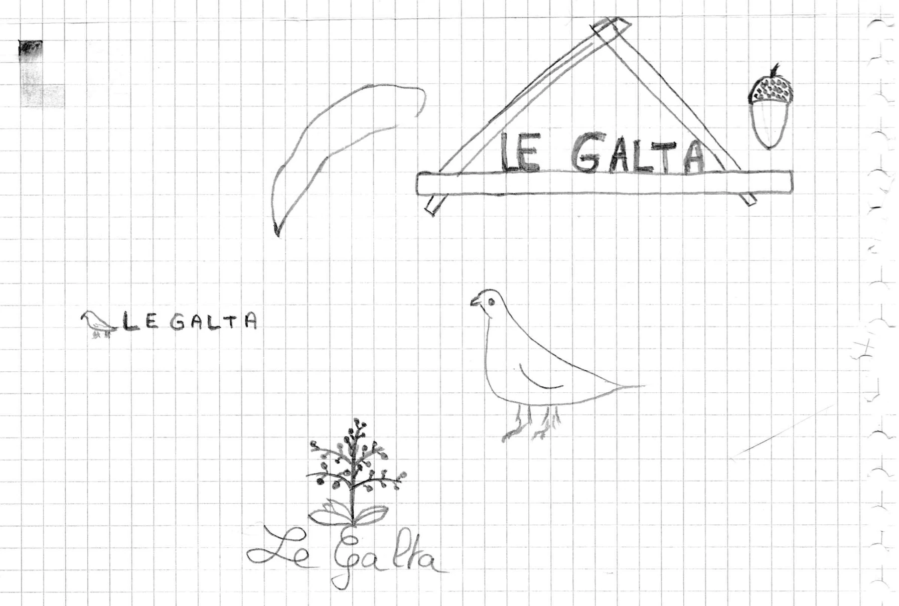 Croquis de concepts — variantes finales