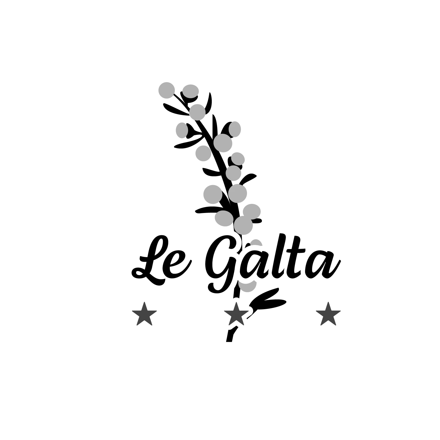 Version 2 génépi