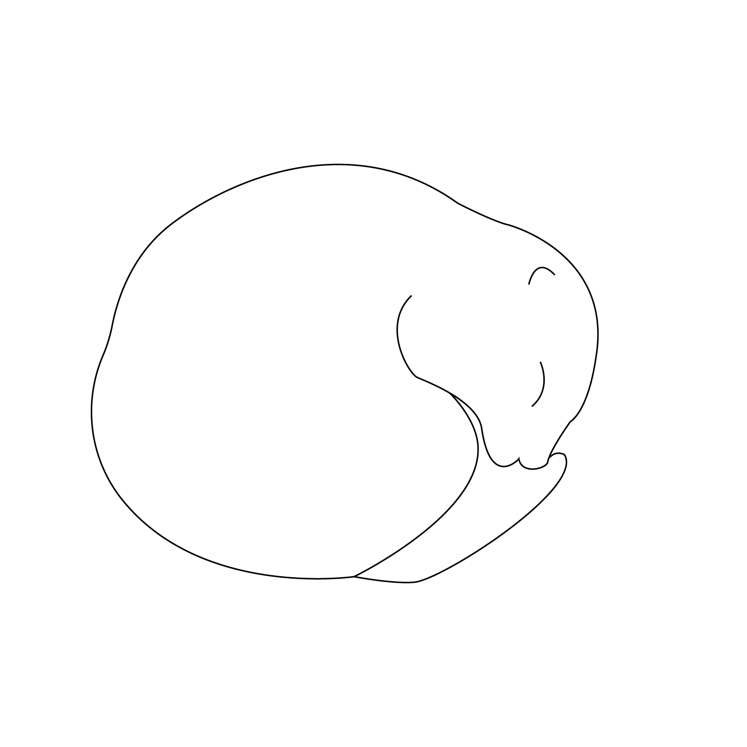 Version 1 marmotte