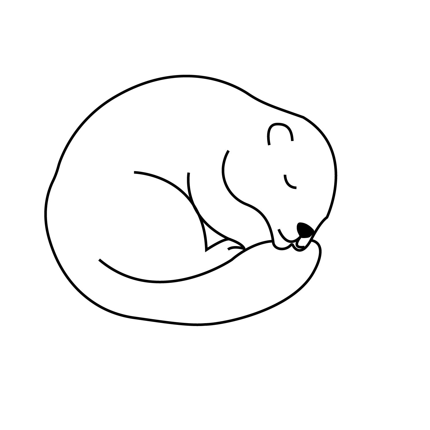 Version 2 marmotte