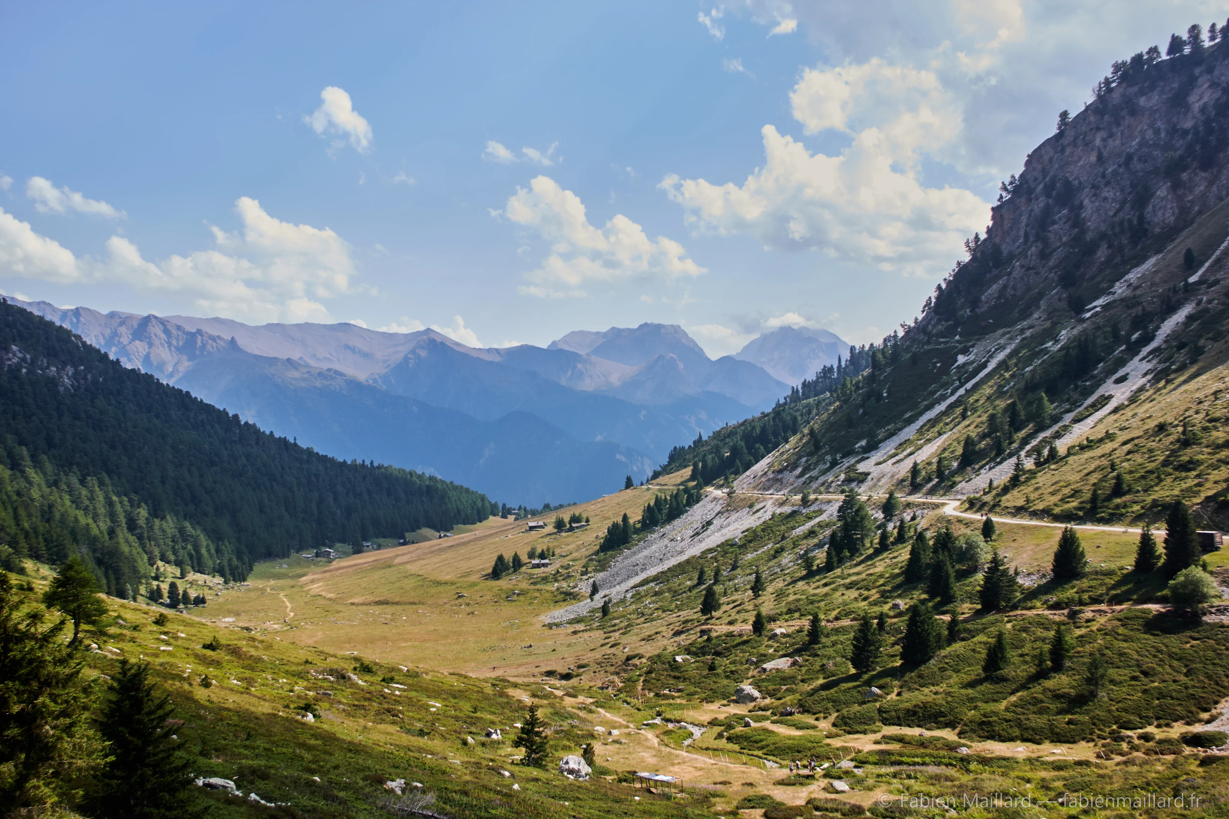 Vallée ensoleillée en montagne