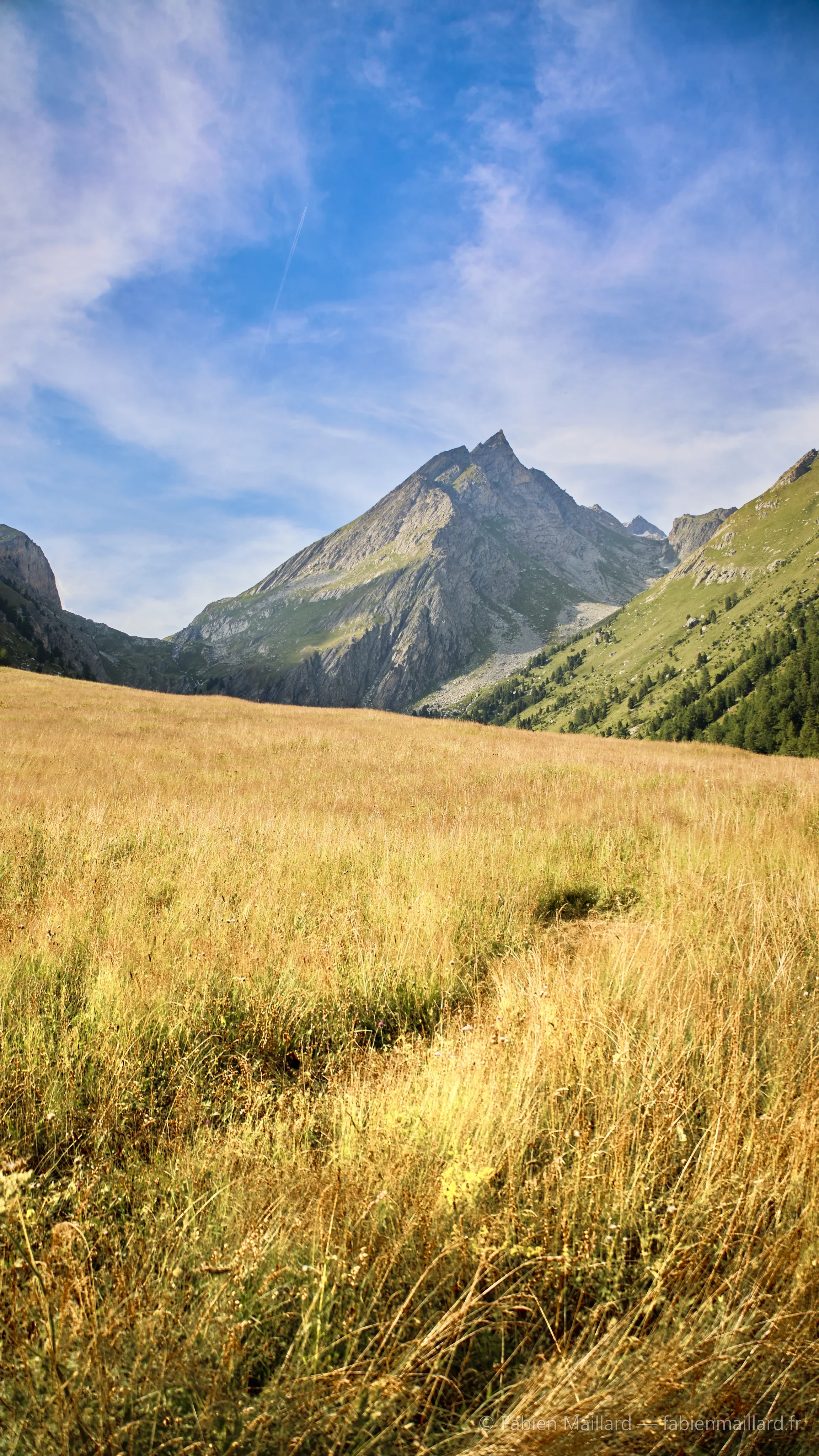 Vallée herbeuse vers les montagnes
